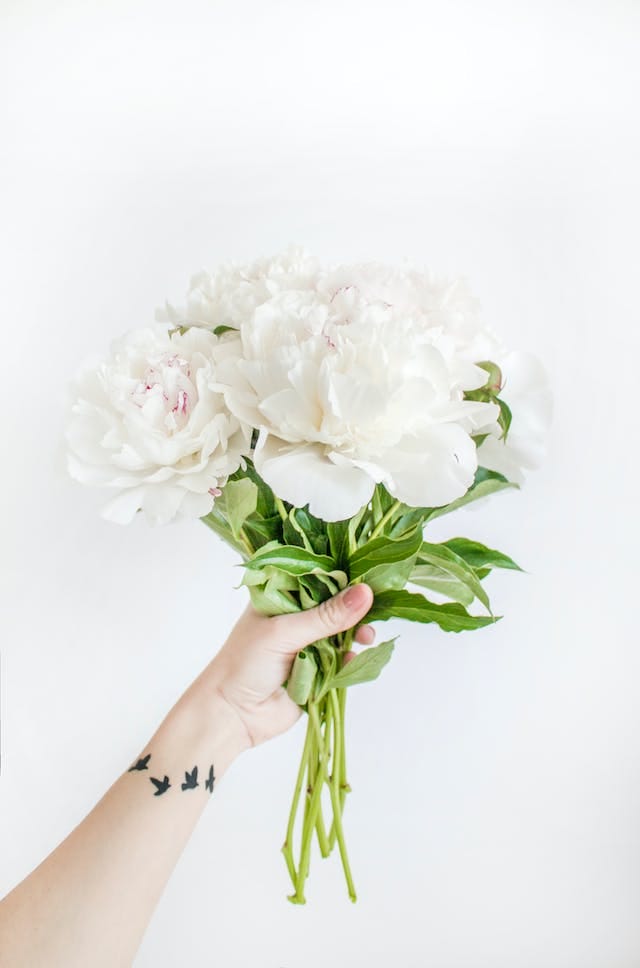 new albany ohio wedding videography New Albany, Ohio Videography | New Albany, Ohio wedding Videographer